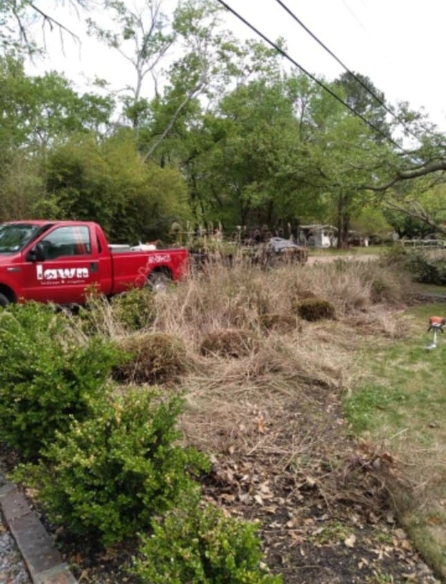 Overgrown, dead brush along a driveway