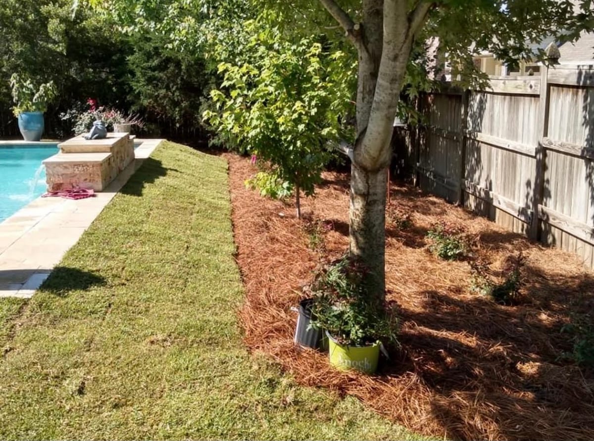 Fresh sod and mulched bed beside a pool