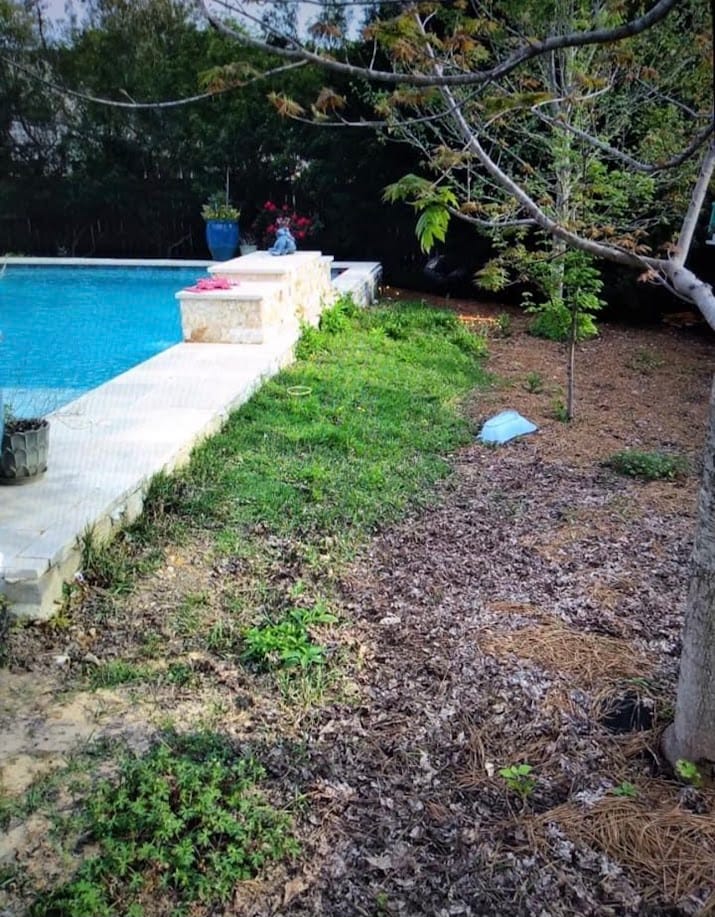 Bare dirt and weeds beside a pool