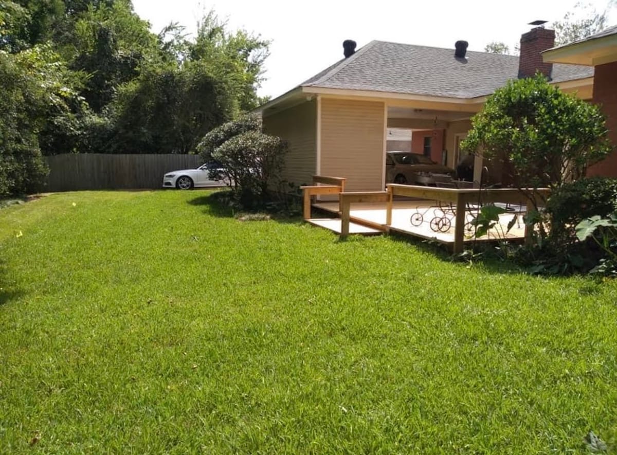 Open green lawn with beds cleared