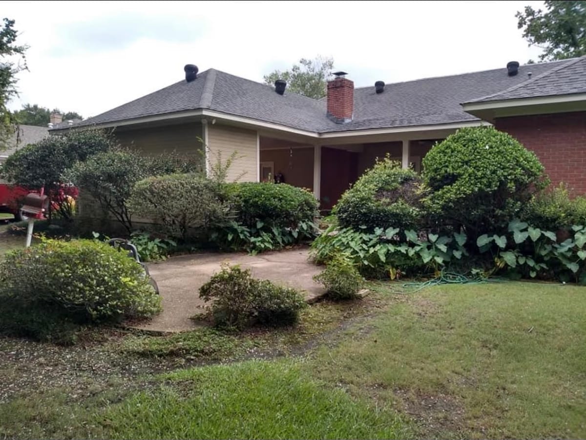 Overgrown beds along the side of a house
