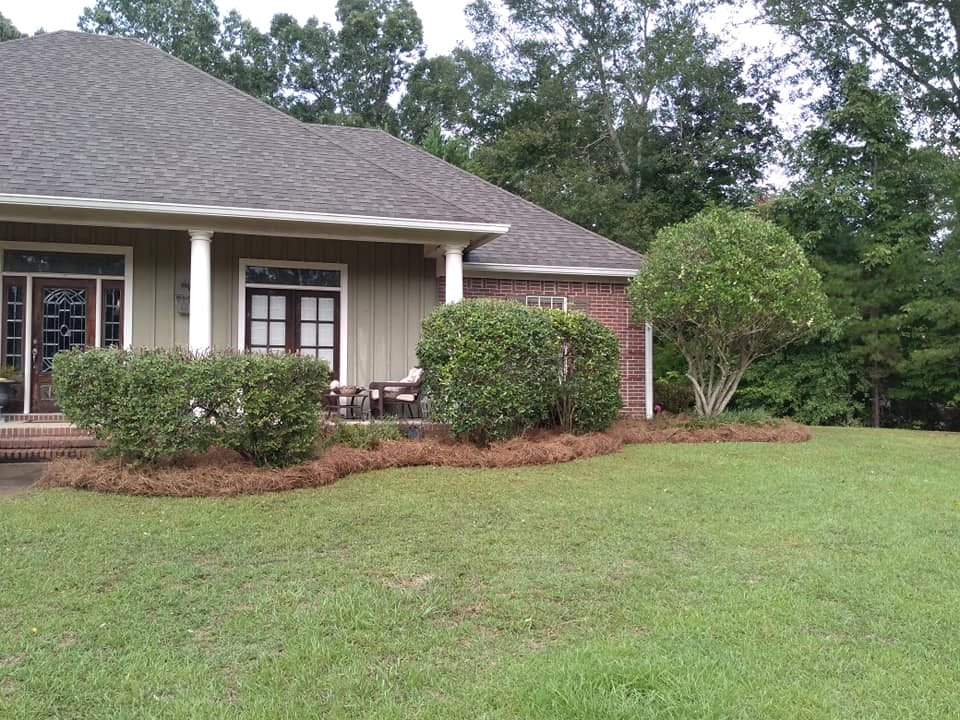 Fresh mulch and trimmed shrubs out front