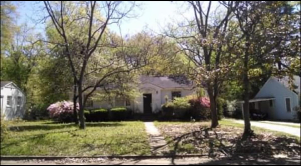 Overgrown, messy front yard