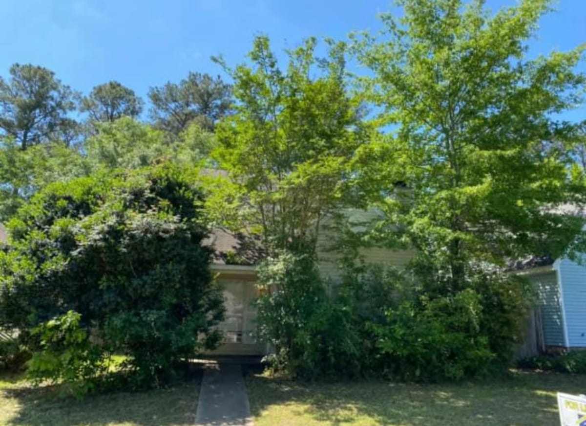 Shrubs overgrowing the front of a house