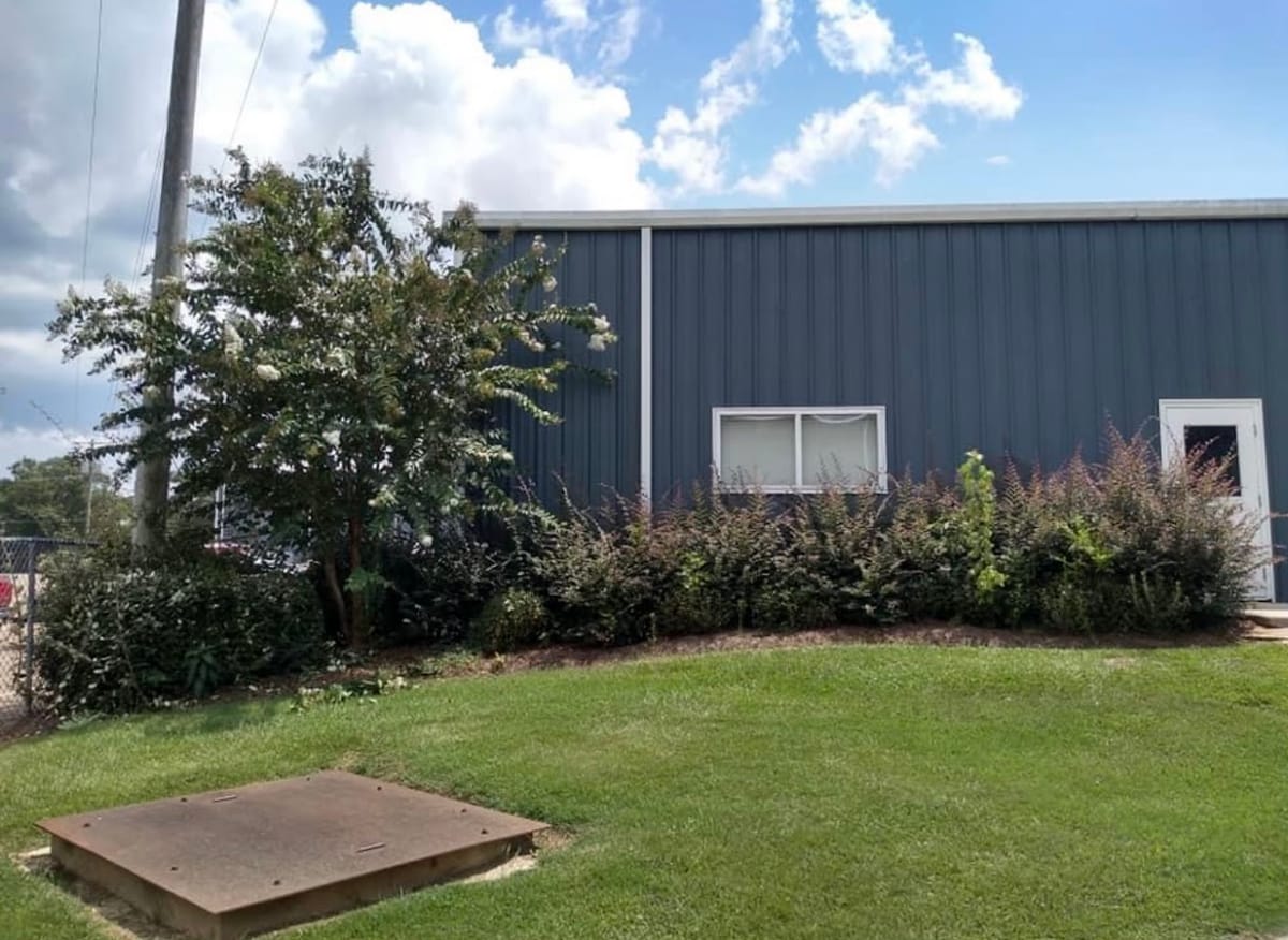 Overgrown shrubs at a commercial building