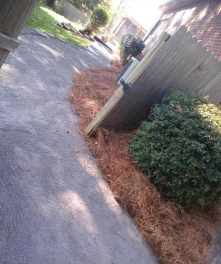 Cleared walkway with fresh pinestraw