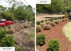 Recent landscape project