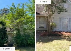 Recent landscape project