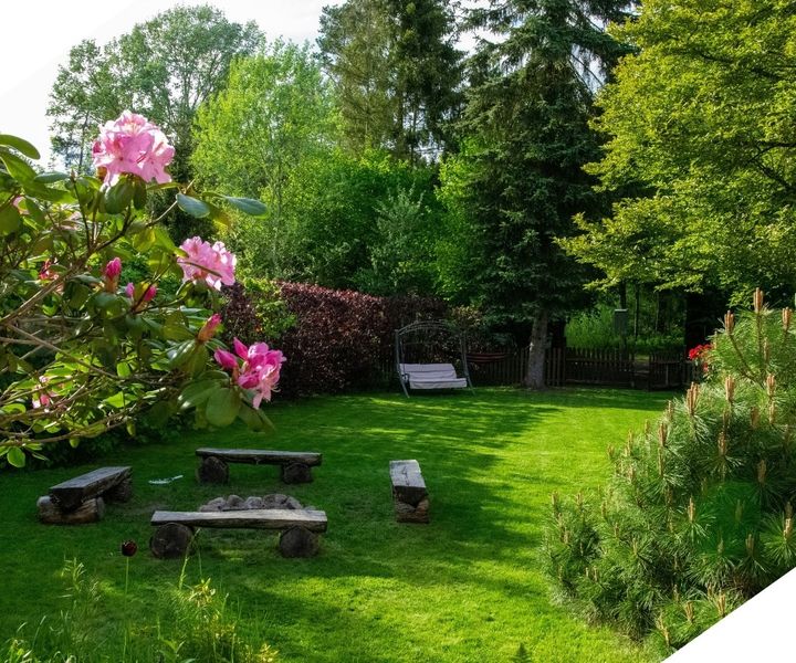 Landscaped yard with mulched beds and plantings