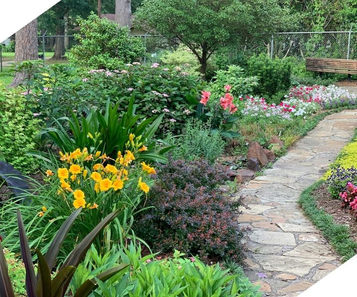 Landscaped yard