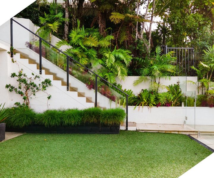 Landscaped yard